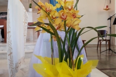 IMG-20190918-WA0050