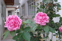IMG-20190213-WA0019