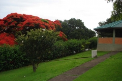 images3
