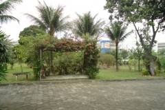 images10