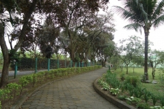 images11