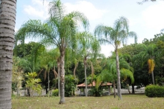 images13