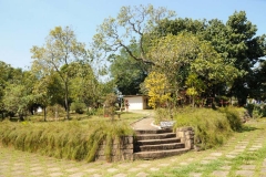 images16