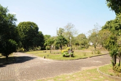 images17