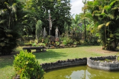 images6