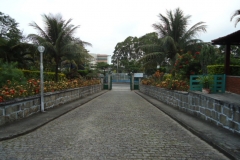 images7