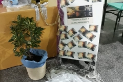 IMG-20190805-WA0035