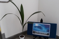 IMG-20190805-WA0058