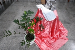 IMG-20190805-WA0091