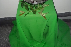 IMG-20190805-WA0108