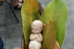 IMG-20181201-WA0034
