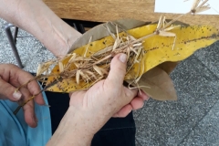 IMG-20181201-WA0035
